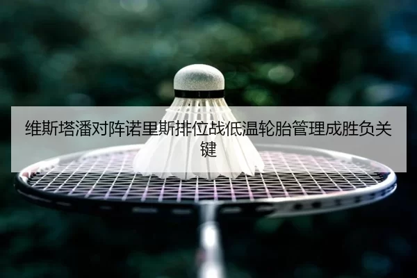 维斯塔潘对阵诺里斯排位战低温轮胎管理成胜负关键