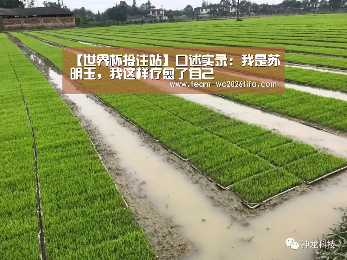 2026世界杯投注规则