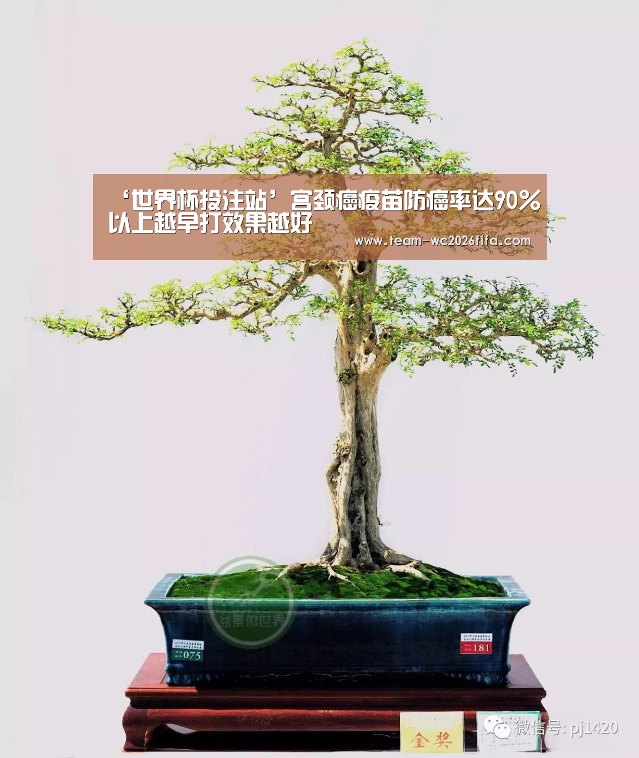 ‘世界杯投注站’宫颈癌疫苗防癌率达90%以上越早打效果越好(图1) 世界杯投注站